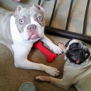 Meet your Posher, Tonya